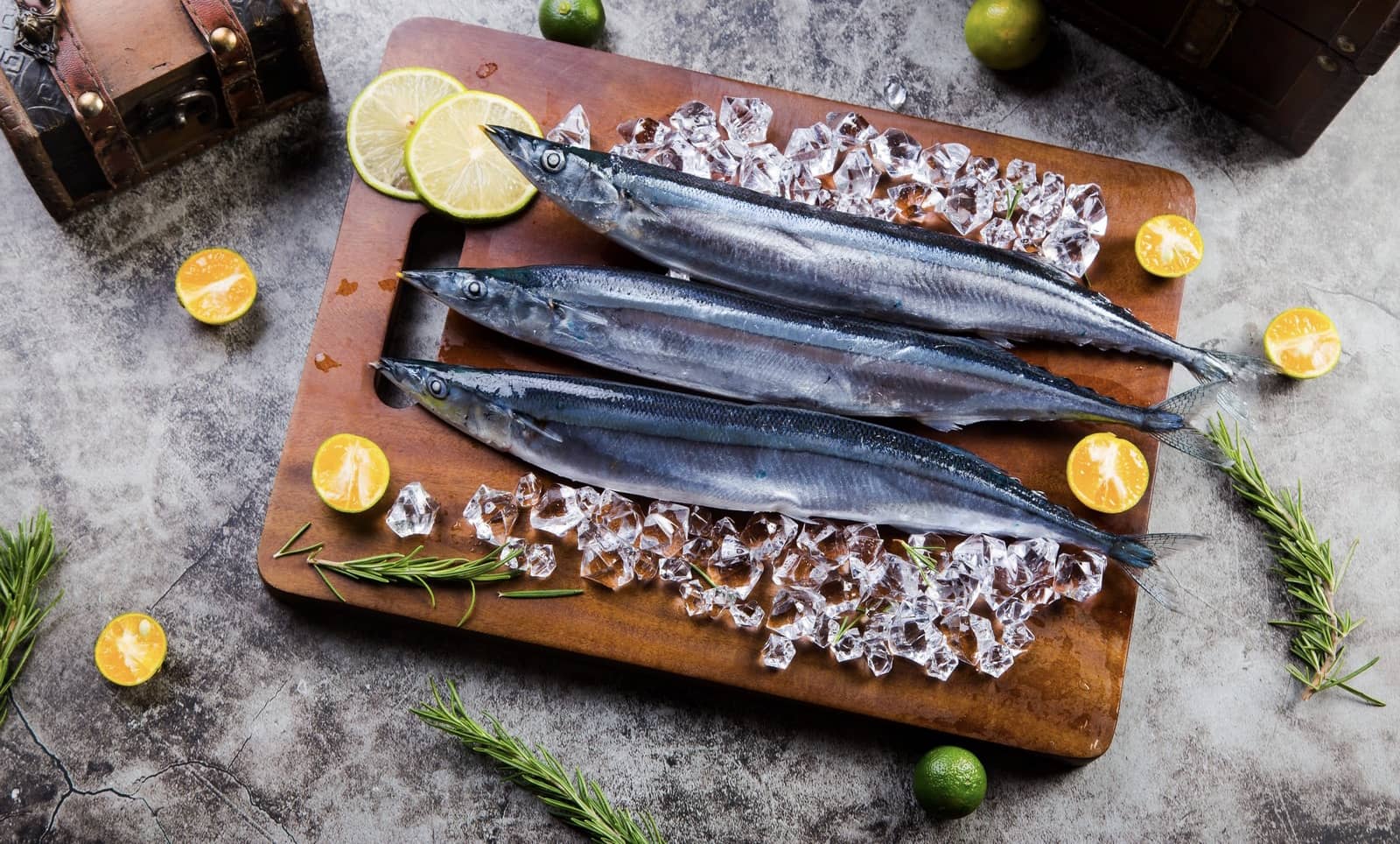 PACIFIC SAURY