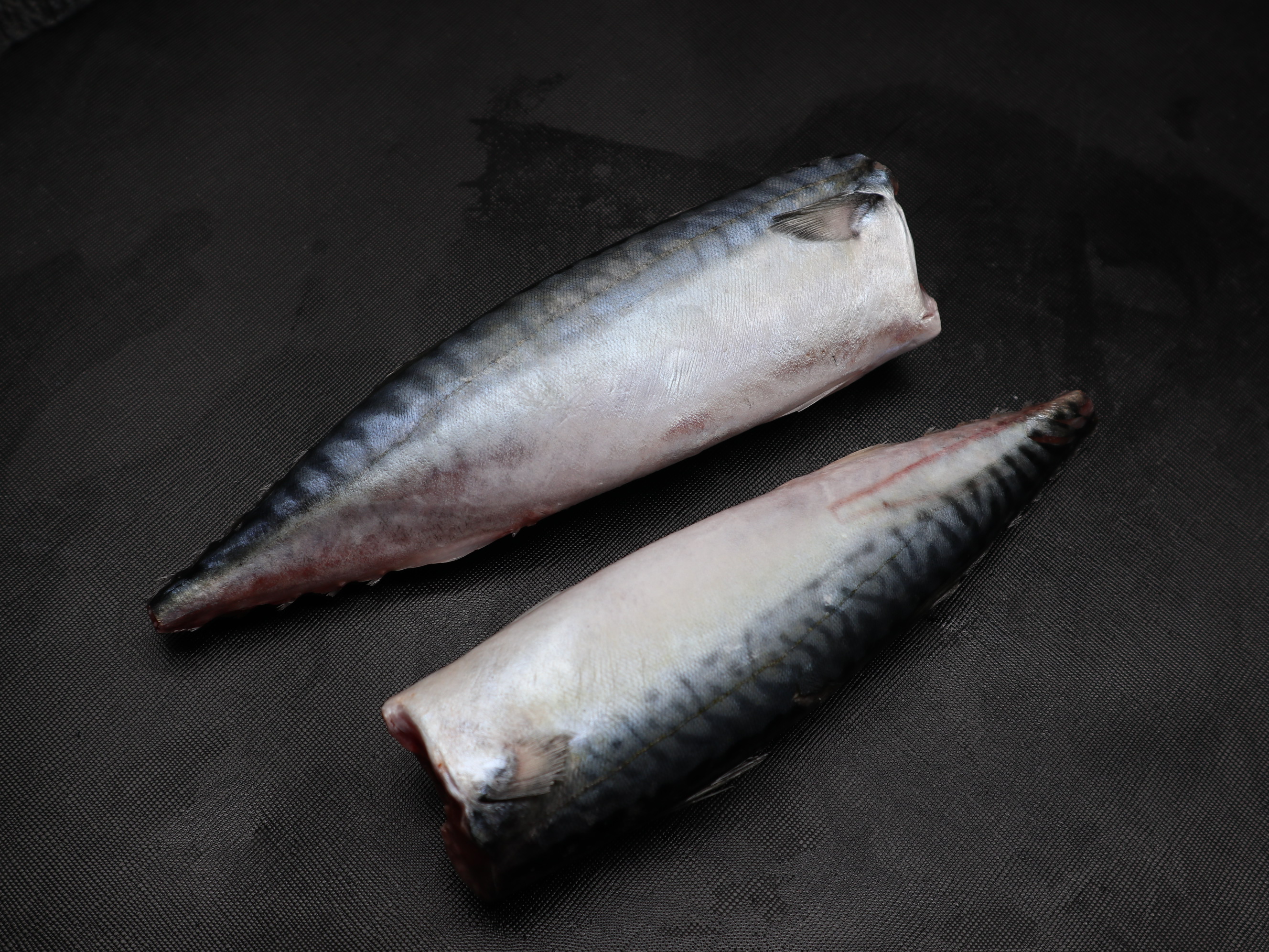 Pacific mackerel/HGT