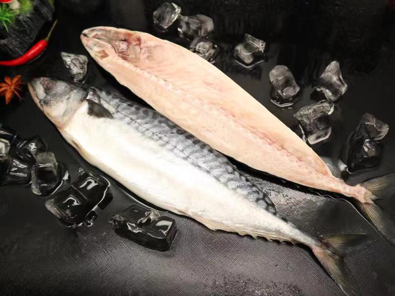 Salted and dried mackerel